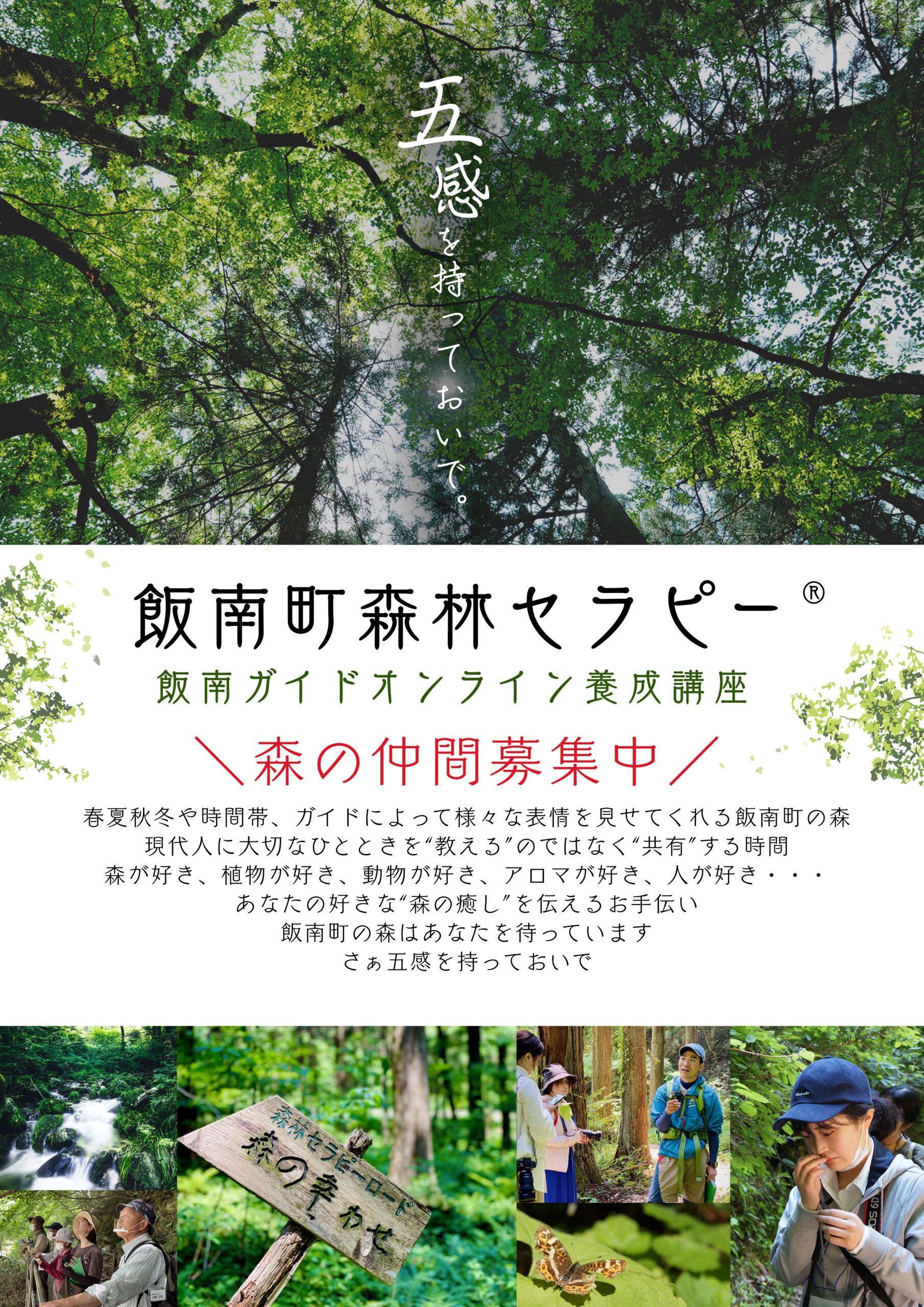 Vol.13 | 飯南町森林セラピー｜島根県の癒し観光スポット
